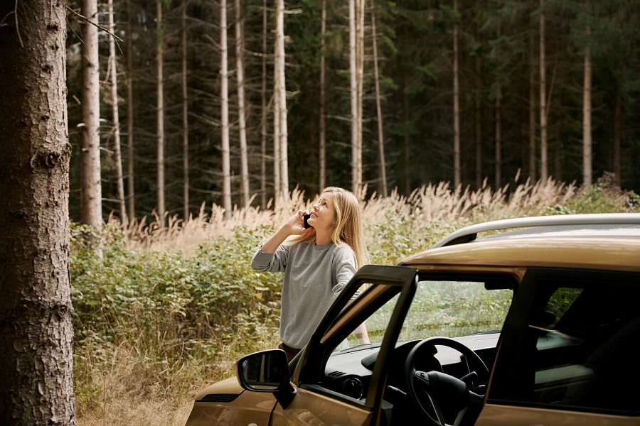 En kvinna står vid sin parkerade guldfärgade bil i skogen, pratar i telefon och tittar upp mot trädet framför henne.